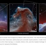 Webb capta la parte superior de la emblemática nebulosa Cabeza de Caballo con un detalle sin precedentes.